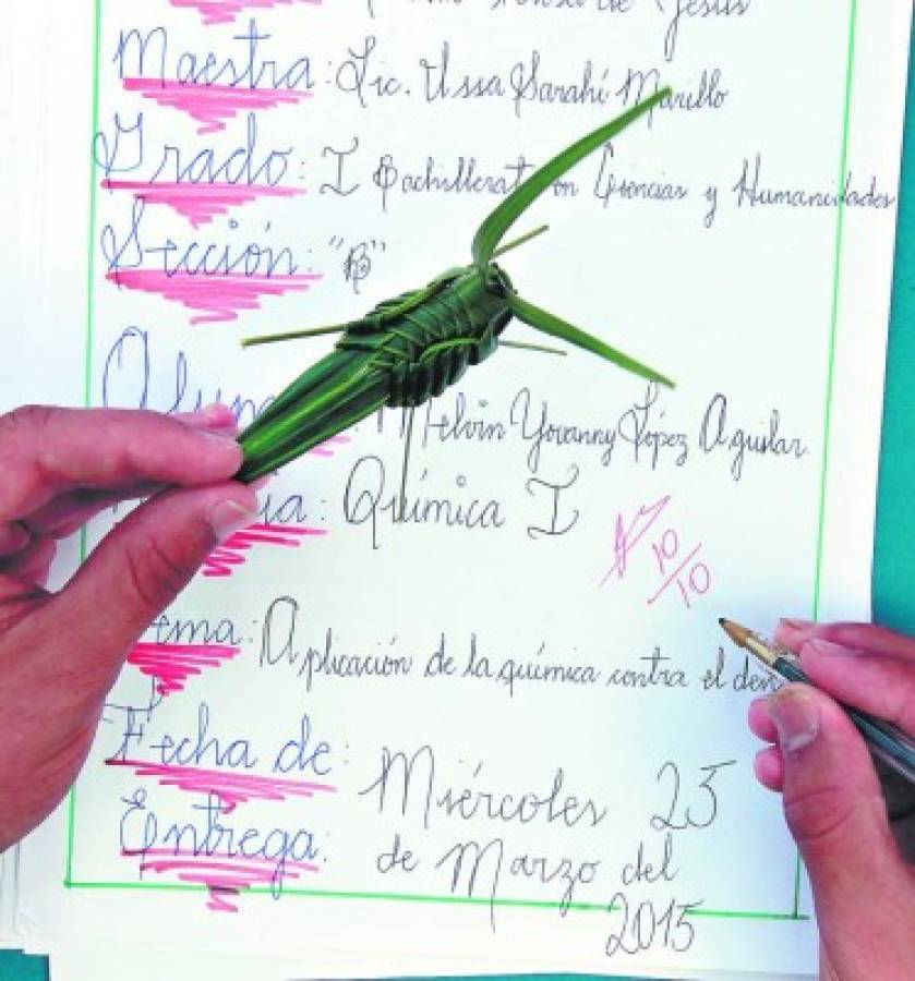 El artista hondureño que elabora saltamontes con zacate