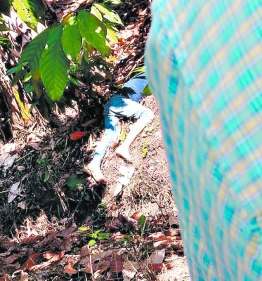 Por pelea de tierras fue matanza de seis personas en Río Blanco, Olancho