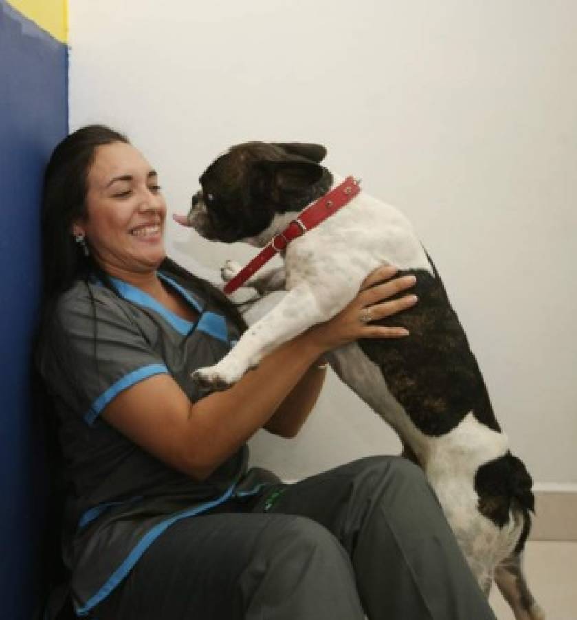 Cachorros se hospedan en hoteles cinco estrellas en Honduras