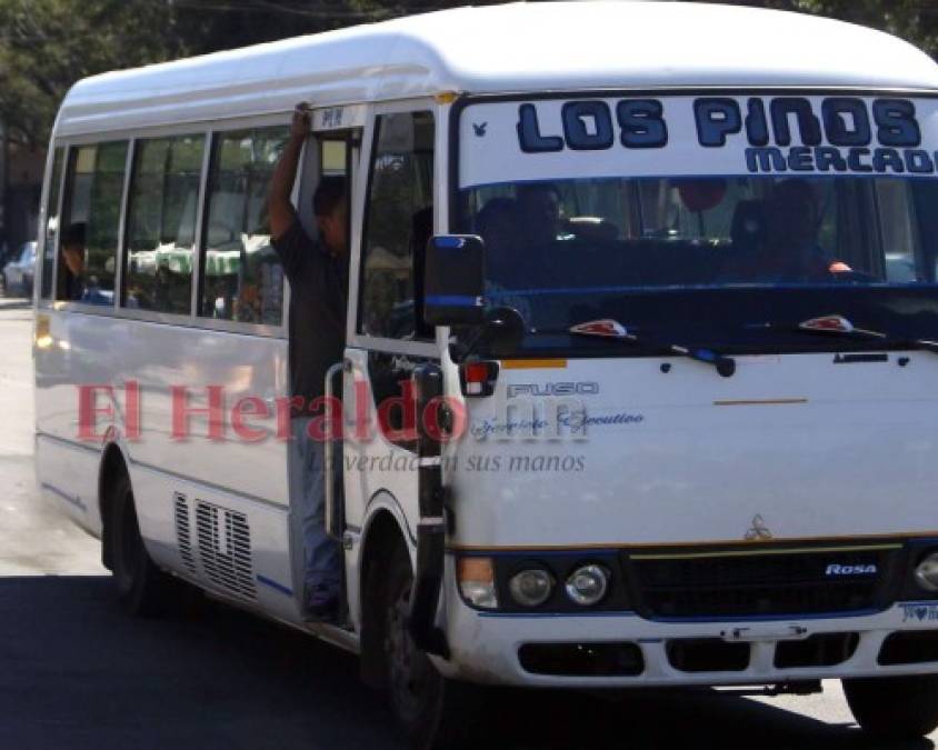 FOTOS: Así operará el sector transporte durante reapertura en Honduras