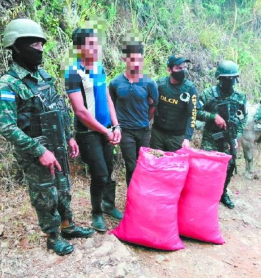 En burro llevaban carga de droga en Olanchito, Yoro