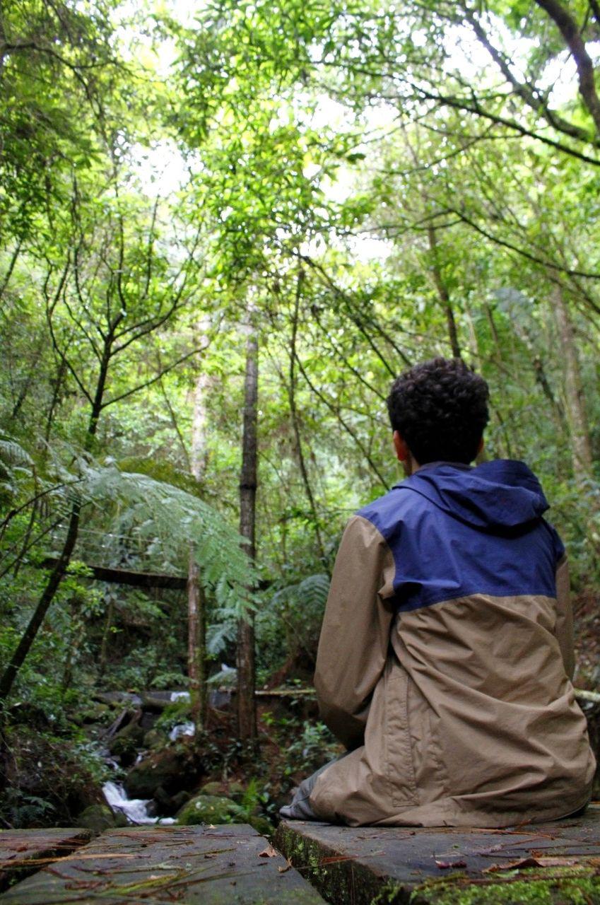 Turismo de montaña en La Tigra: Así se vive una escapada entre la naturaleza y neblina