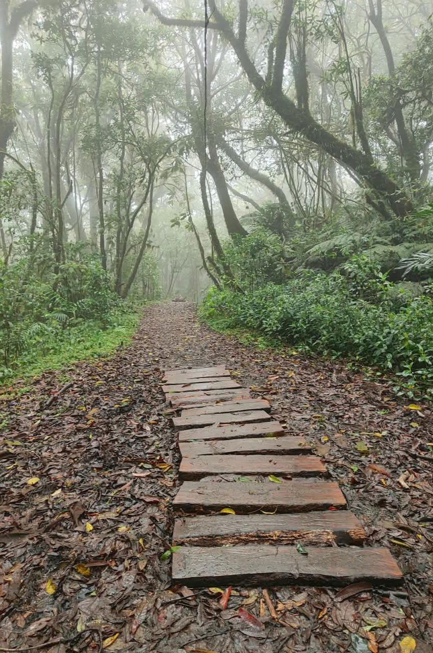 Turismo de montaña en La Tigra: Así se vive una escapada entre la naturaleza y neblina