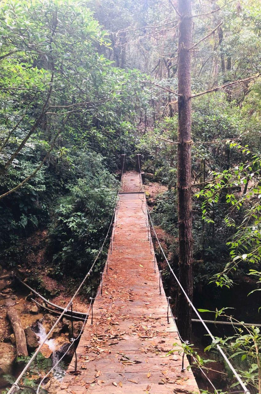 Turismo de montaña en La Tigra: Así se vive una escapada entre la naturaleza y neblina