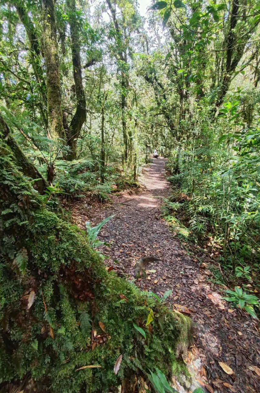 Turismo de montaña en La Tigra: Así se vive una escapada entre la naturaleza y neblina