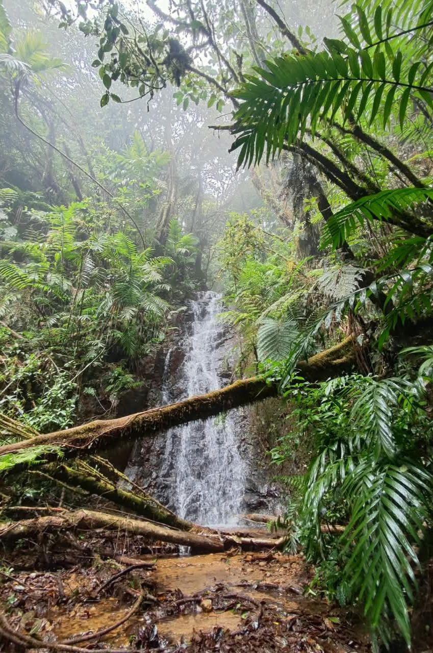 Turismo de montaña en La Tigra: Así se vive una escapada entre la naturaleza y neblina