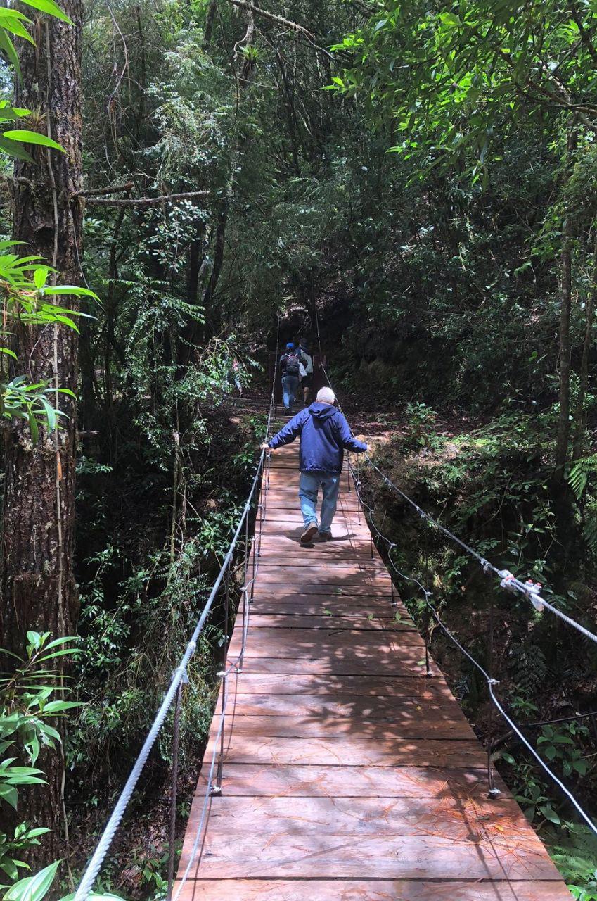 Turismo de montaña en La Tigra: Así se vive una escapada entre la naturaleza y neblina
