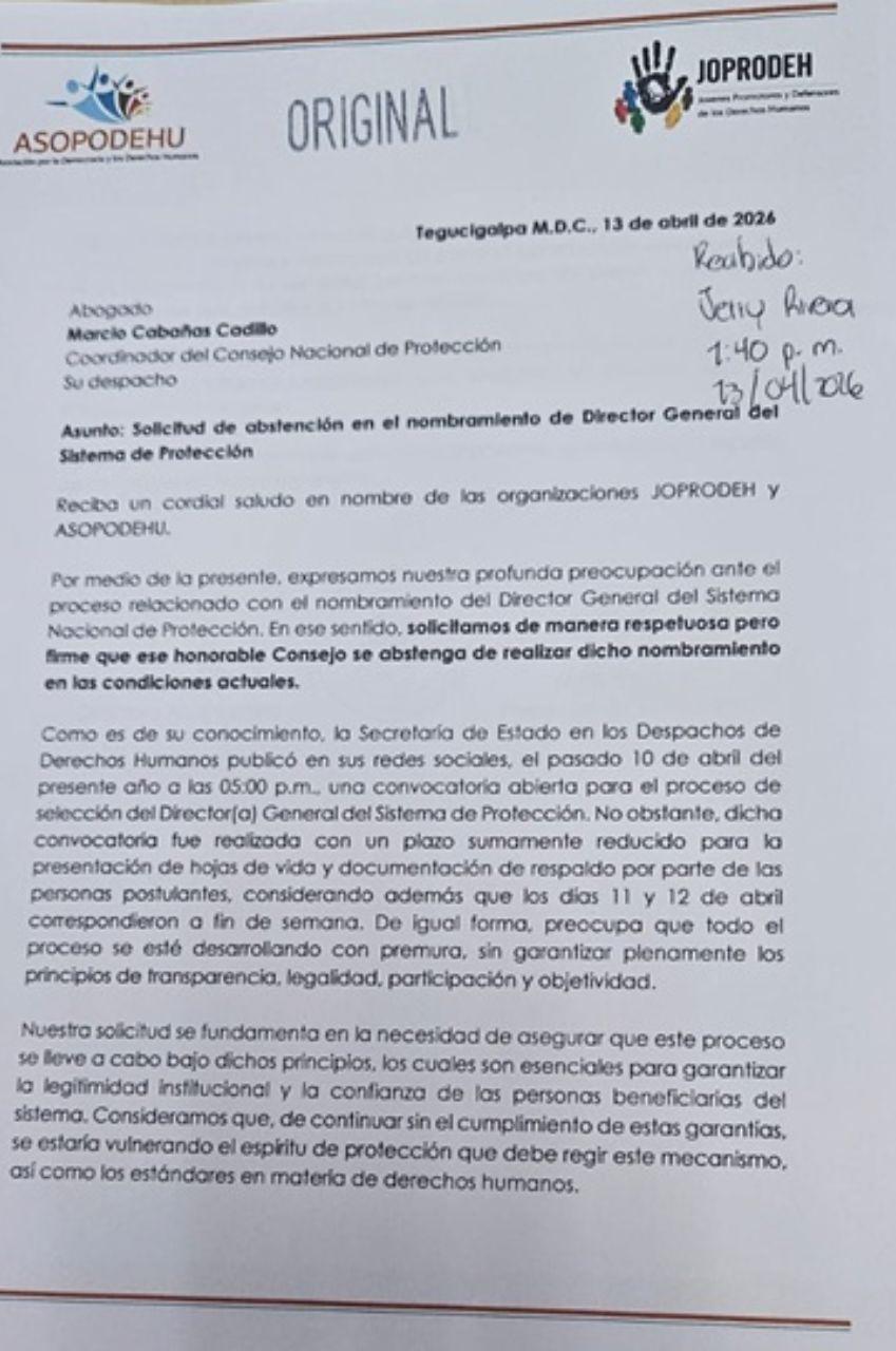 Documento remitido por organismos de DD HH al coordinador del Consejo Nacional de Protección.