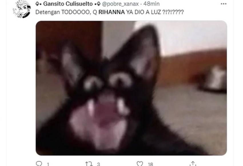 Las redes explotan con memes por el primogénito de Rihanna