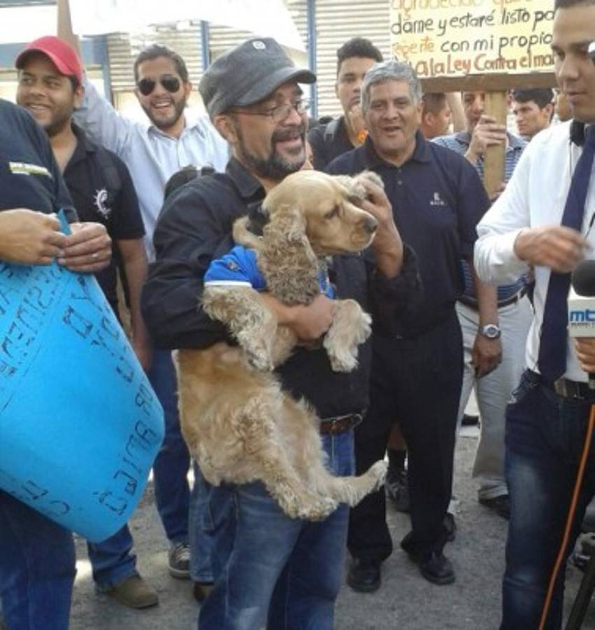 Honduras: Exigen aprobación de ley contra maltrato animal