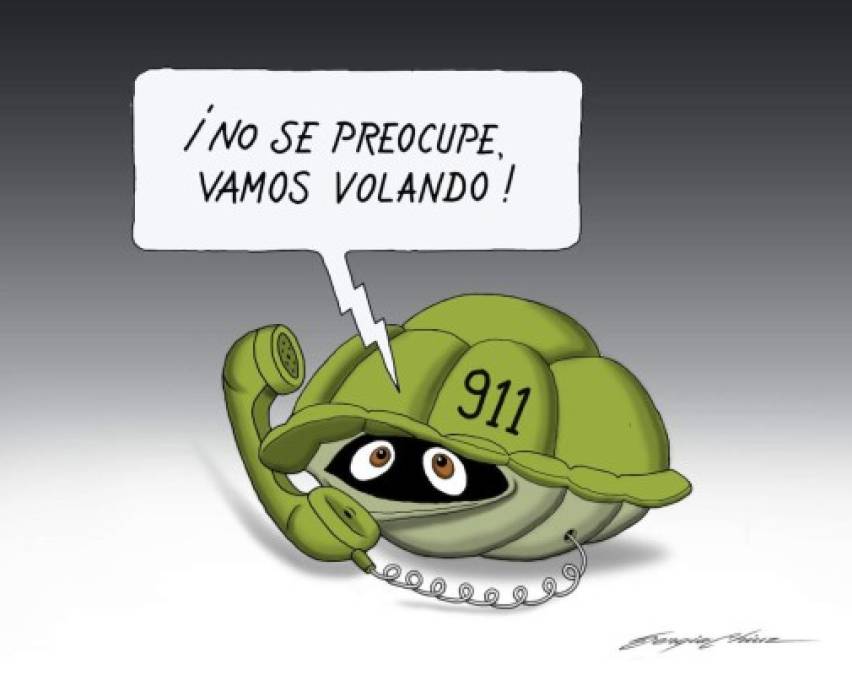 Las tortugas Ninja