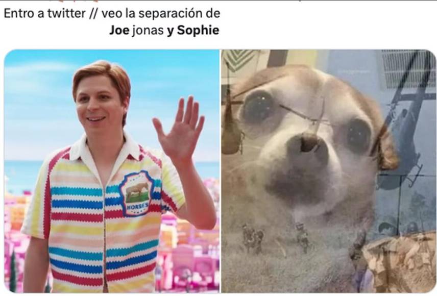 Joe Jonas y Sophie Turner ponen fin a su matrimonio y las redes explotan con memes