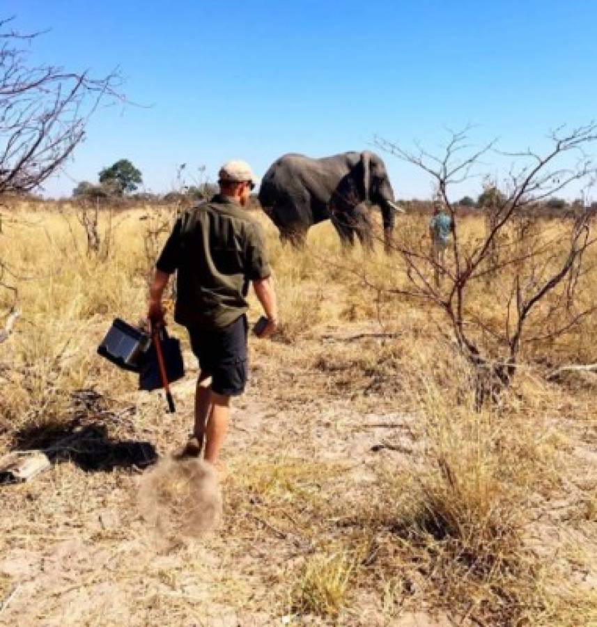 Meghan y Harry comparten fotografías inéditas de viaje a África