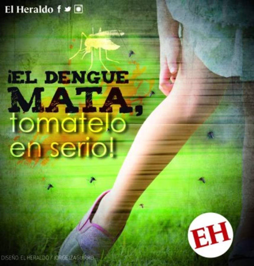 El 2019 podría cerrar con más de 100 casos de muerte por dengue grave.