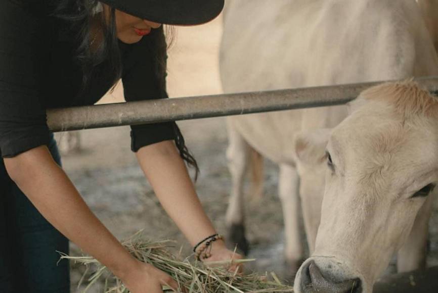 Al estilo “Pasión de gavilanes”, UNAH promociona la carrera de Ingeniería Agronómica