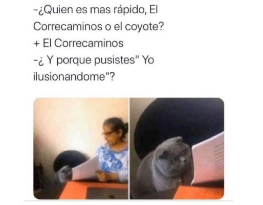 Divertidos memes del gato regañado que invaden las redes