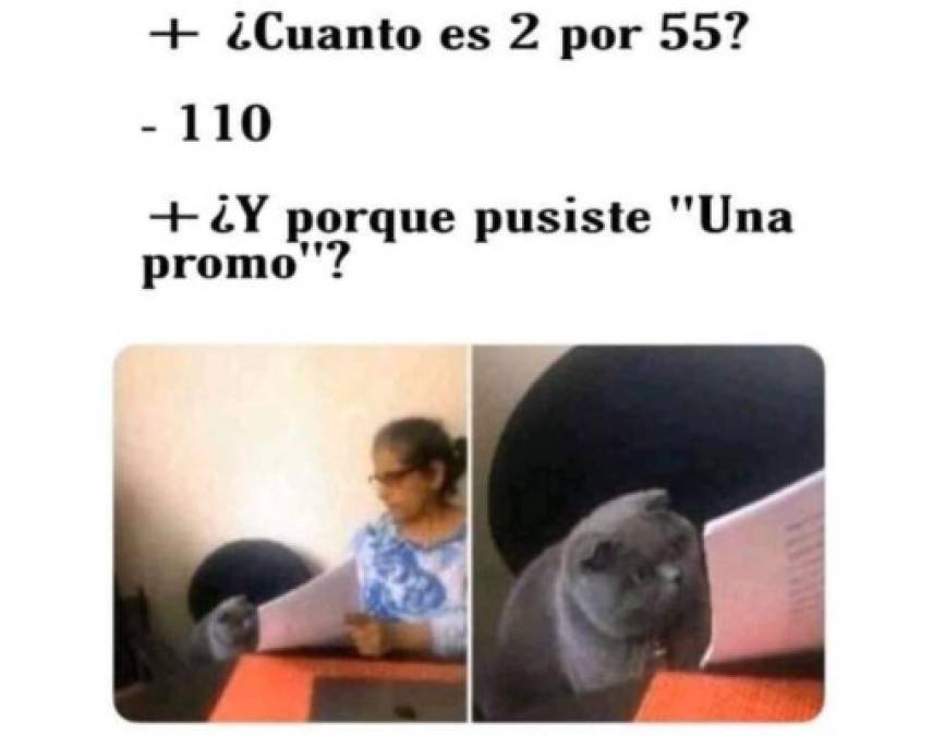 Divertidos memes del gato regañado que invaden las redes