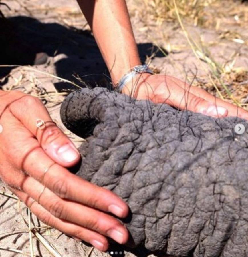 Meghan y Harry comparten fotografías inéditas de viaje a África