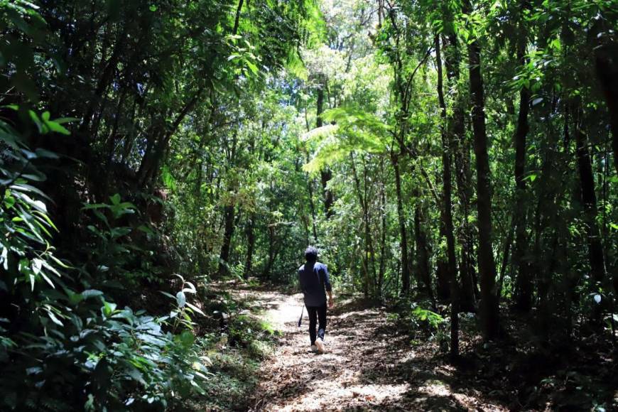 Lo que se sabe del hondureño desaparecido en La Tigra