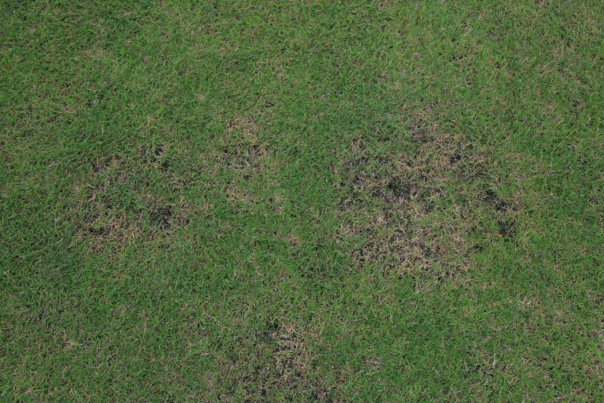 Así luce el estadio Francisco Morazán tras remodelaciones y Moncada manda advertencia