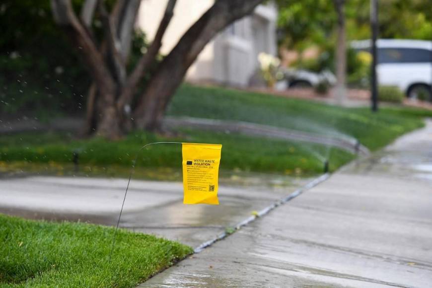 Construida sobre un desierto y considerada ciudad de los excesos: Las Vegas es hoy estrella en conservación del agua