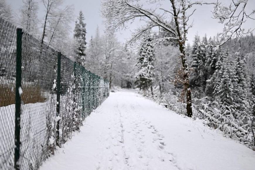 La mataron con 30 puñaladas, pero por tener menos de 14 años no serán acusadas: El impune crimen contra Luise que estremece a Alemania