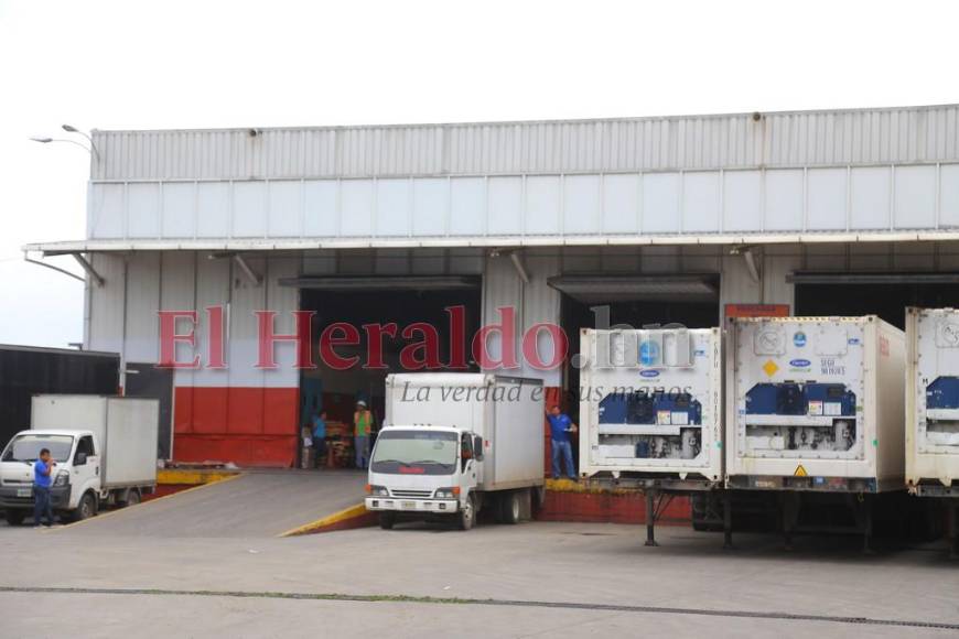 Estos son los 12 pasos para importar y registrar un vehículo en Honduras