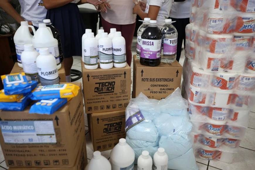 Fundación Terra se proyecta con Escuelas Amigables con el Ambiente