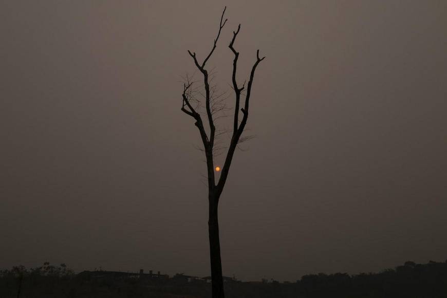 ¿Qué es la “lluvia negra”, el fenómeno que afectaría a Sudamérica?
