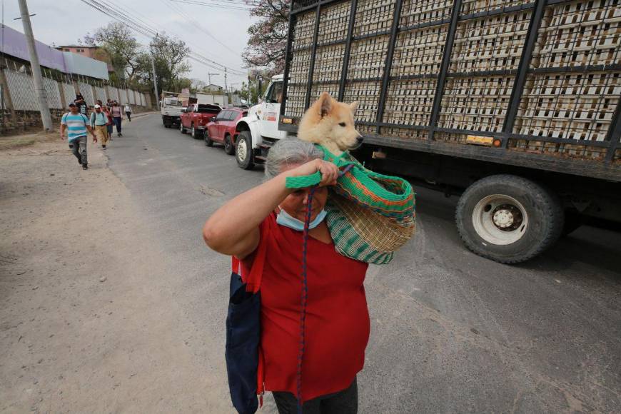 Con mascotas al hombro y largas caminatas: fotos del caos en la salida al sur por protesta del Ministerio Público