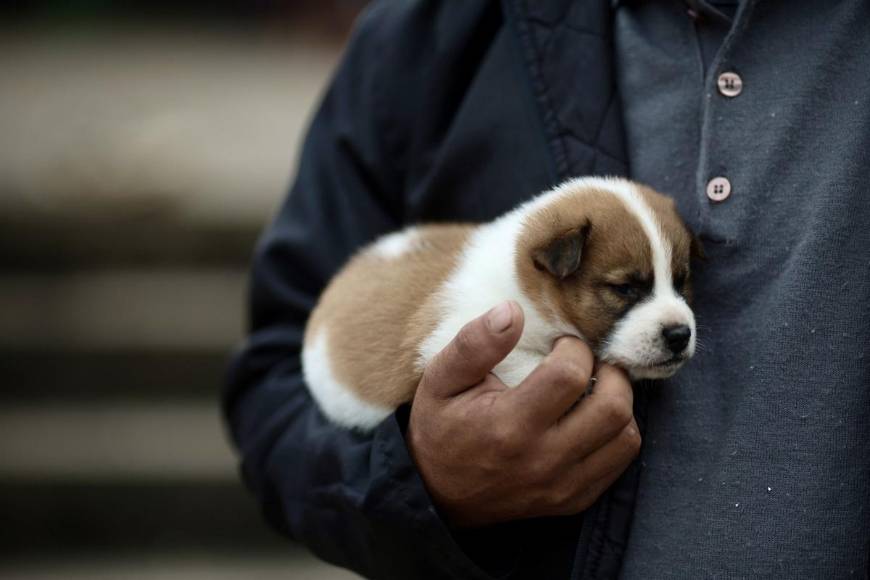 Rescates a contrarreloj en Brasil para contener tragedia por inundaciones