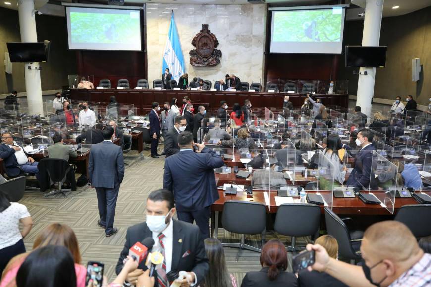 Presupuesto 2023: Los puntos más relevantes aprobados en madrugón del Congreso Nacional