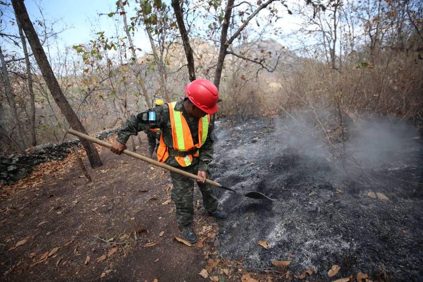 Bruma y árboles quemados se apoderan de La Tigra: así es el ambiente desde adentro