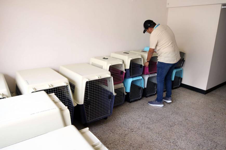 Conozca las instalaciones y servicios que ofrece la clínica Veterinaria Municipal