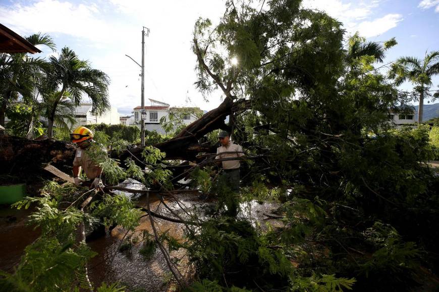 Muertes, inundaciones y destrozos deja Lidia a su paso por México