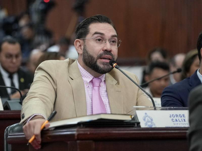 EN VIVO: Congreso define el futuro de Marlon Ochoa, Mario Morazán y otros funcionarios electorales en juicio político
