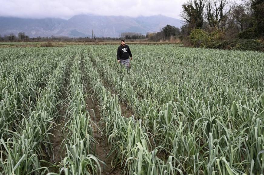 Las predicciones de Nostradamus que sí se cumplieron en 2022