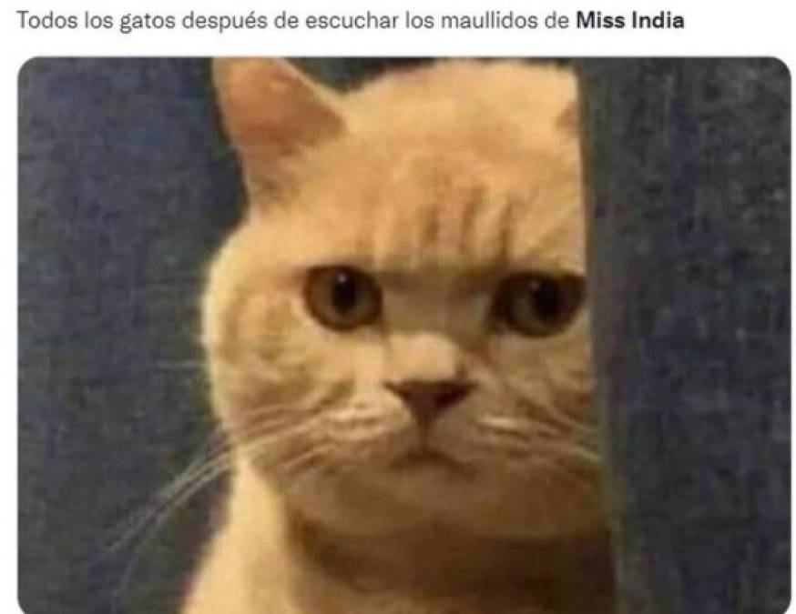 Memes que dejó el 'miau' de Harnaaz Sandhu en ceremonia de Miss Universo