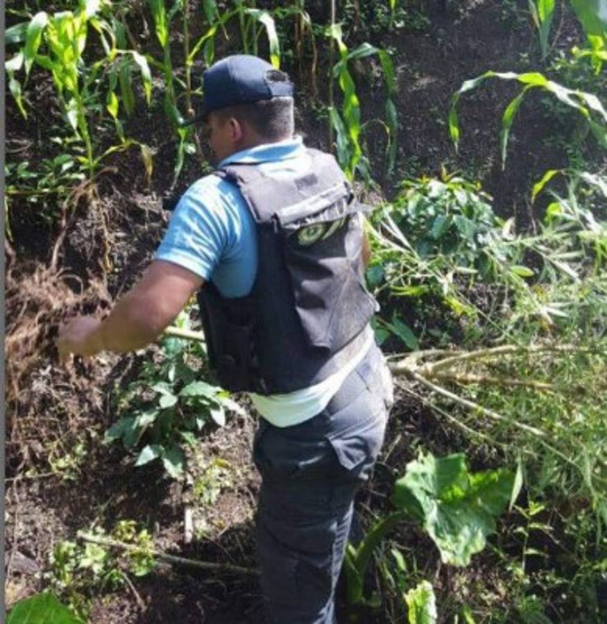 Matan a dos policías de la DPI durante operativos Santa Rita de Copan Ruinas