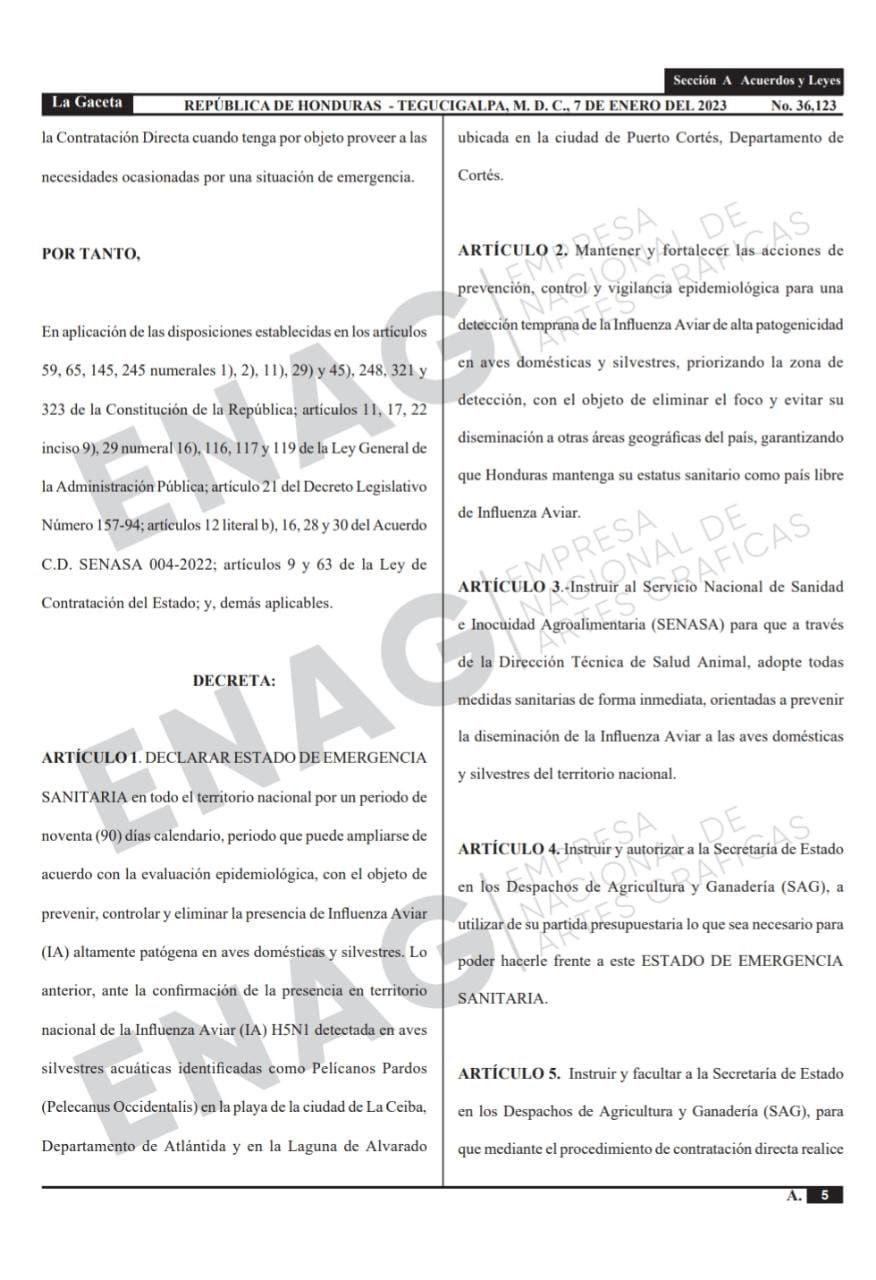 Honduras en alerta sanitaria durante 90 días por gripe aviar