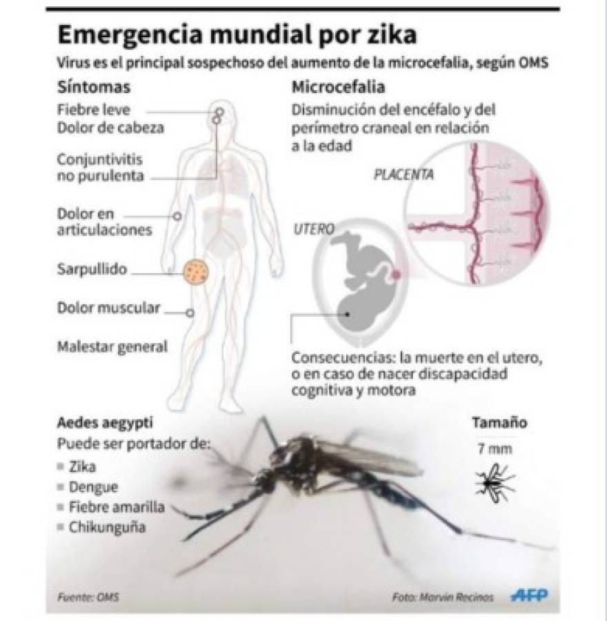 Secretaría de Salud reporta más de cuatro mil casos de zika solo en enero