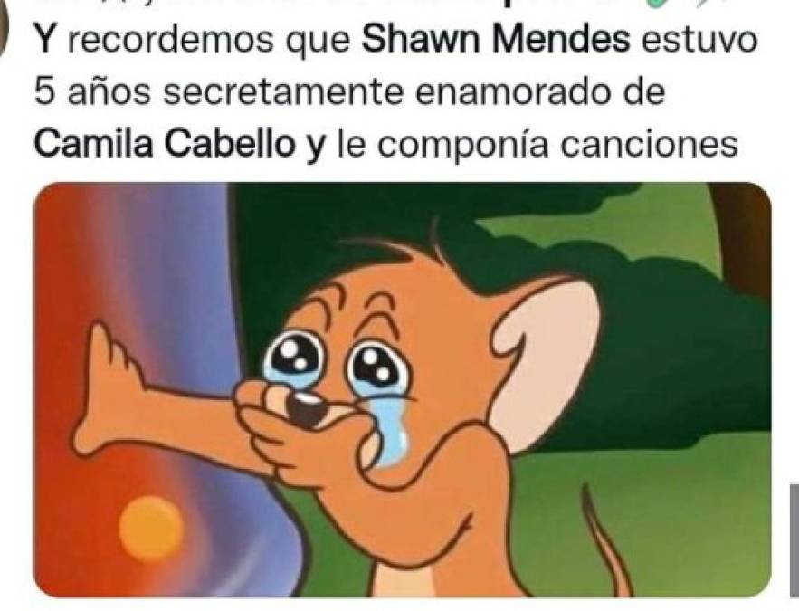 ¿Con quién se queda el perro? Los memes que dejó la separación de Camila Cabello y Shawn Mendes