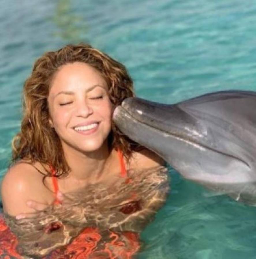 Shakira posó con un delfín.