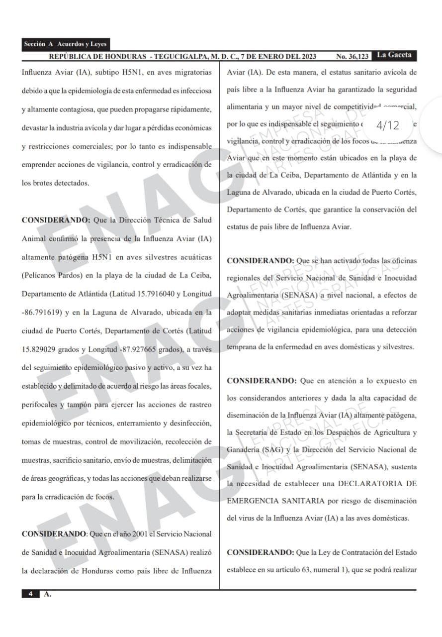 Honduras en alerta sanitaria durante 90 días por gripe aviar