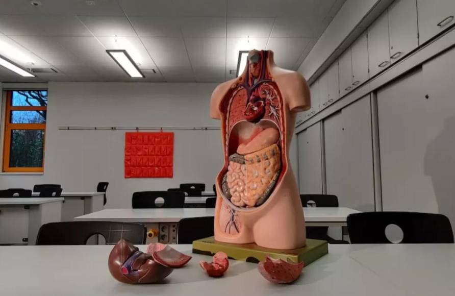 Vendía órganos y cabezas humanas en internet: así operaba Cedric Lodge, el jefe de la morgue de Harvard