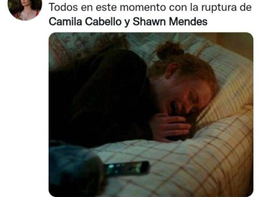 ¿Con quién se queda el perro? Los memes que dejó la separación de Camila Cabello y Shawn Mendes