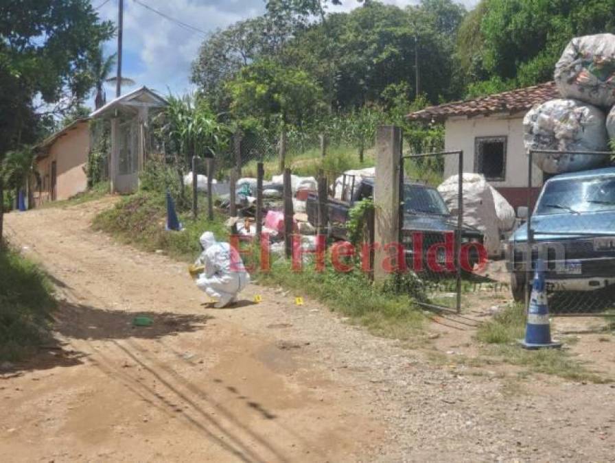Dantescos hallazgos, violentas muertes y varias capturas: Resumen semanal de sucesos en Honduras