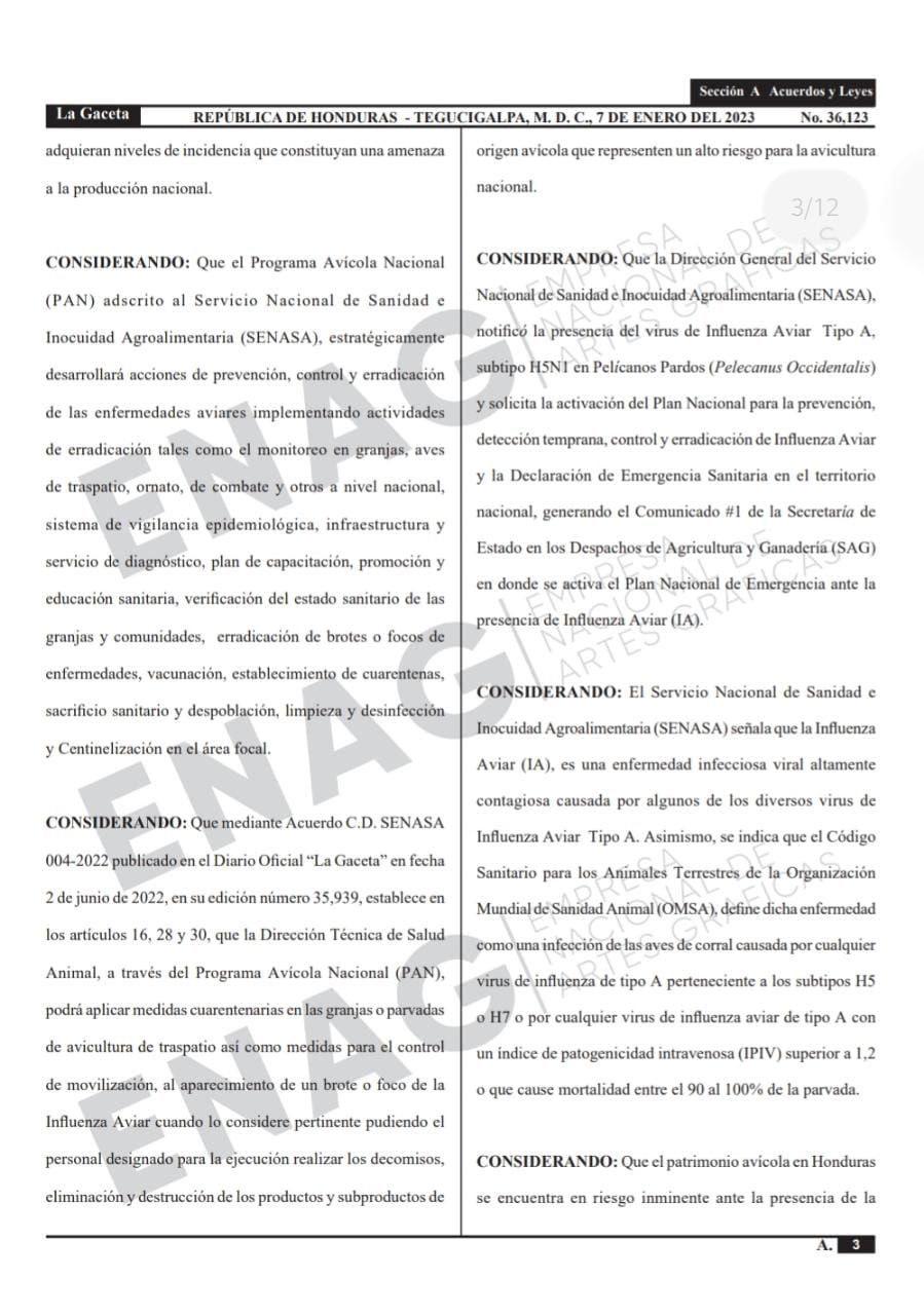 Honduras en alerta sanitaria durante 90 días por gripe aviar