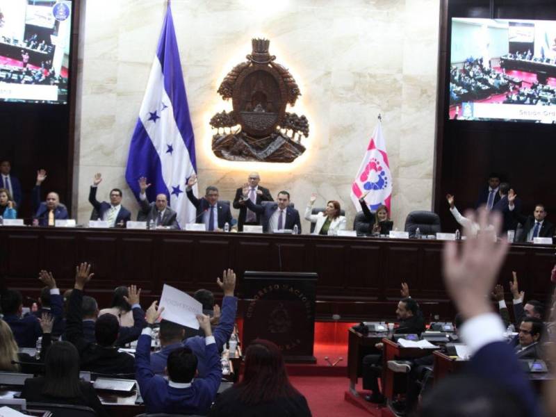 Diputados liberales dieron su voto de confianza a la declaratoria de emergencia en salud, pero advirtieron que no debe de ser un cheque en blanco.