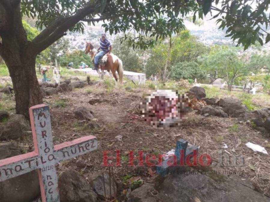 ¡Dantesco! Imágenes del destazadero clandestino hallado en cementerio de la capital